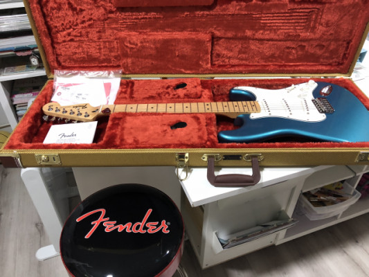 Reservada Fender strato standard mim 2018