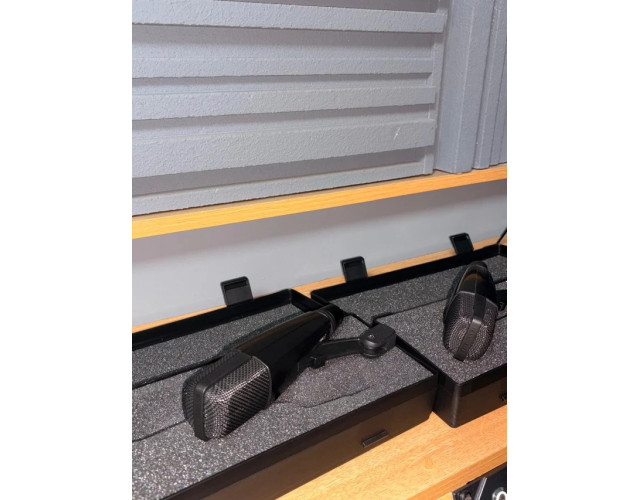 Pareja Sennheiser MD-421 II