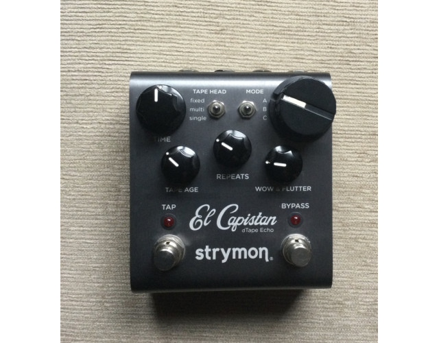 Strymon. Ernie Ball. Motu
