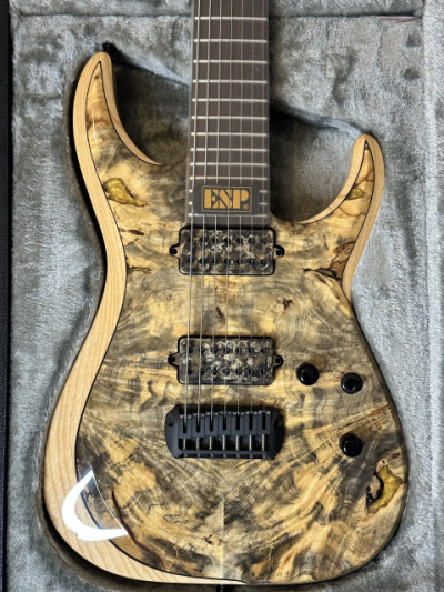 /cambio parcial ESP M II experimental series 7 Limited Edition!