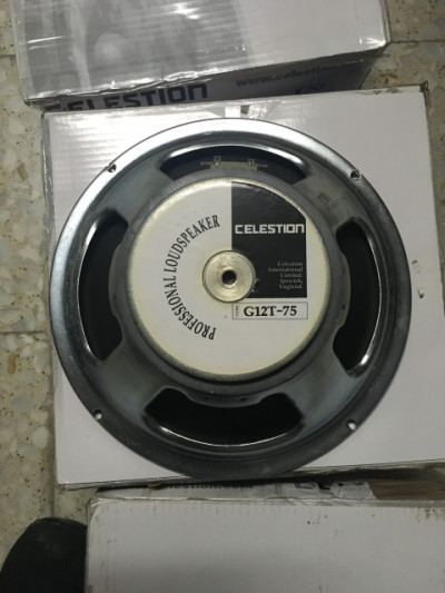 Celestion g12t 75