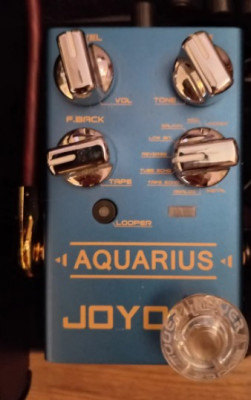 Joyo r07 Aquarius Delay + Looper