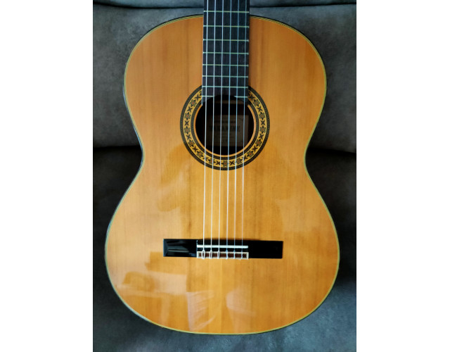 TAKAMINE N°30
