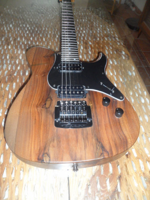 CAMBIO Guitarra Luthier BALADO CUSTOM