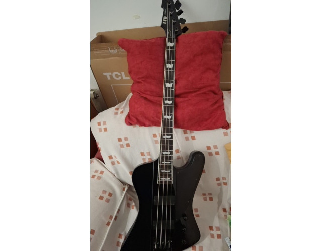 ESP LTD Phoenix 1004