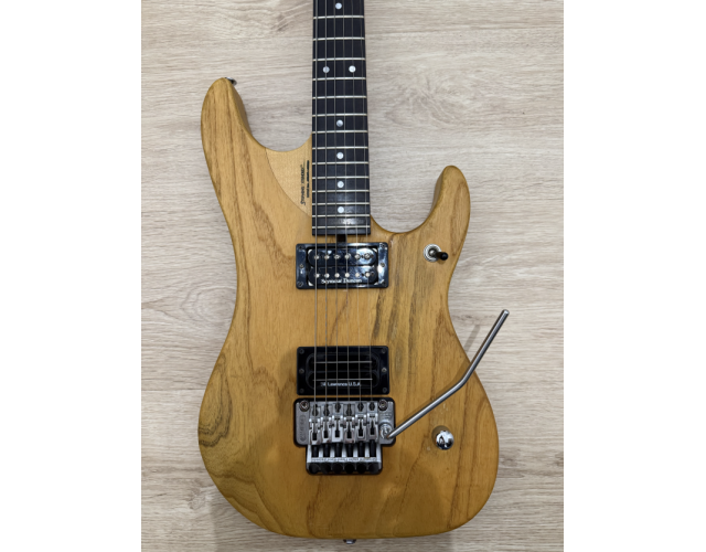 Washburn N4 USA