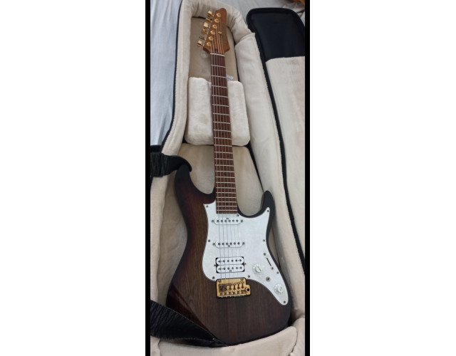 Ibanez AZ Premium 224bcg