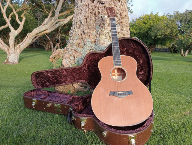 TAYLOR GS5e Acústica Alta Gama RESERVADA