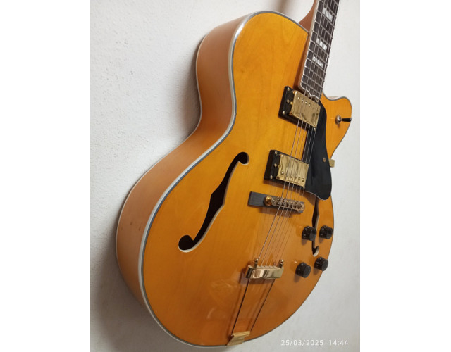 Guitarra eléctrica de caja tipo Blues/Jazz
