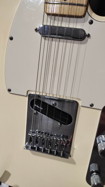 Vendo o cambio Fender Telecaster Mex (mejorada)