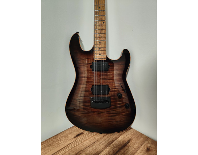 Ernie Ball Music Man Sabre Guitar Case in Lleida - News Directory 3