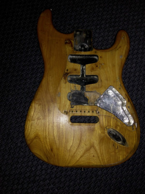 Cuerpo Fender Stratocaster 1979 Swamp