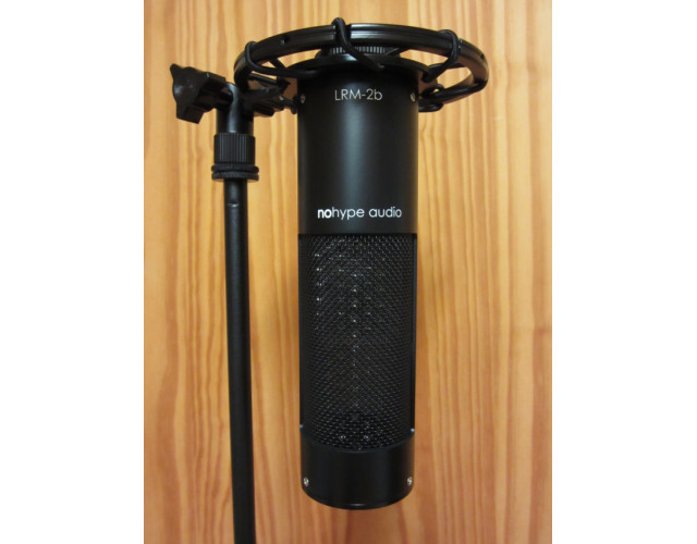 NoHypeAudio LRM-2b