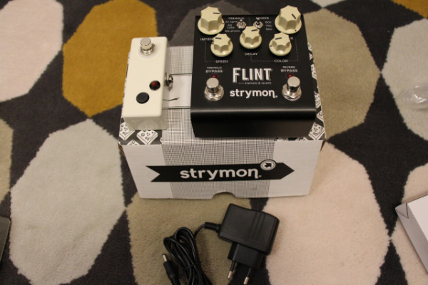 Strymon Flint + Miniswitch (diy)