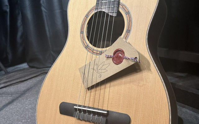 Guitarra híbrida Dowina Bona Vida de nailon / Bona Vida Hybrid Nylon Guitar