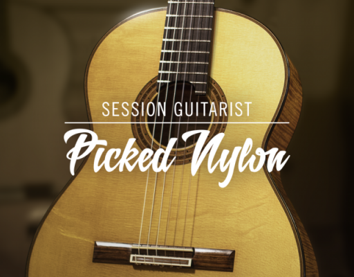 NI Session Guitarist Picked Nylon Guitar