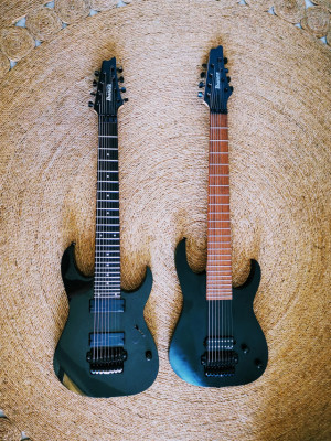 /VENDO .... Mis 2 Ibanez de 8 cuerdas