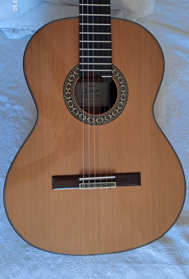 Guitarra Alhambra luthier India Montcabrer GLaca entera