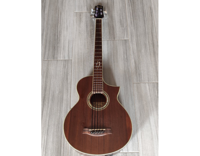 Bajo acústico Ibanez 5 cuerdas