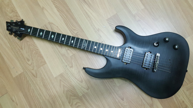 Washburn Parallaxe PXM20EF con Bare Knuckle