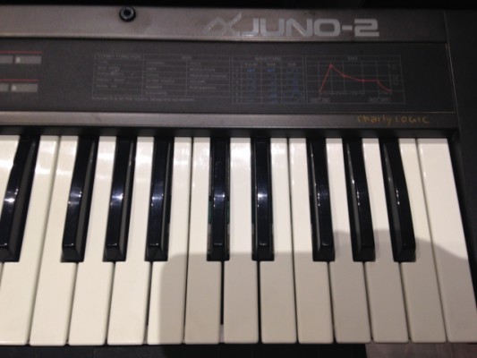 Sinte analogico Roland Alpha Juno 2 + Roland Pg-300
