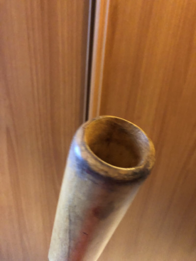 Didgeridoo eucalipto en D + funda