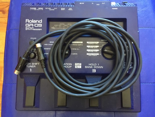 Roland GR09 y Pasti GK3
