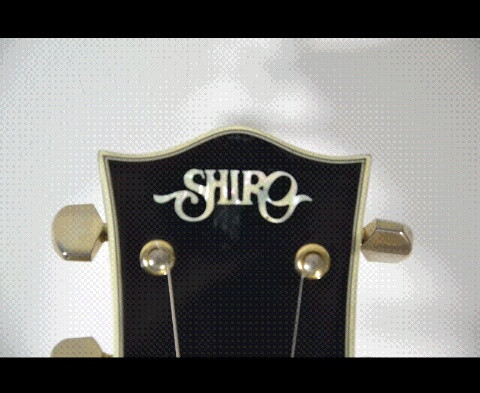 Compro SHIRO les paul custom