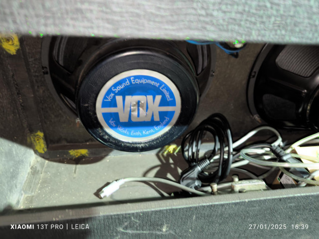 Amplidicador Vox Delfiant