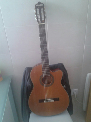 Guitarra amplificada Veracruz 706