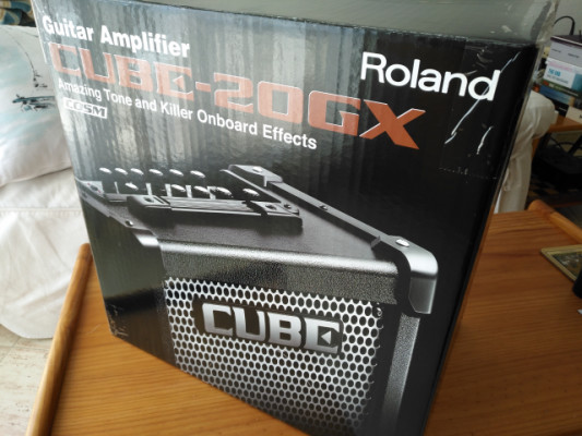 Roland Cube 20GX