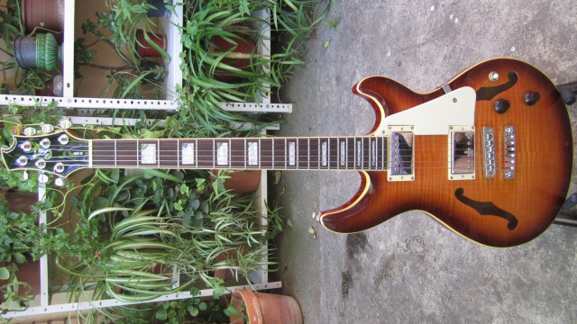 Cort M800 (guitarra de semicaja)
