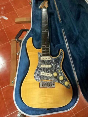 Valley Arts Custom Shop Samick Stratocaster ***RESERVADA***