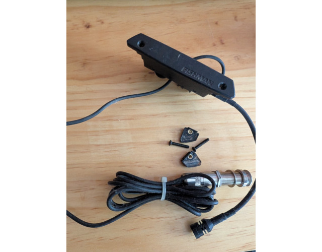 Fishman Rare earth mic