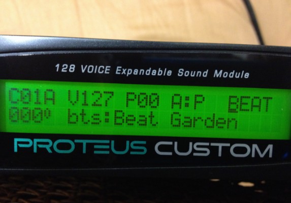 EMU 9063 Beat Garden 32MB Expansion ROM