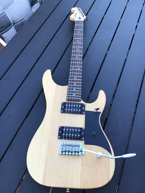 Washburn Nuno Bettencourt  rebajada