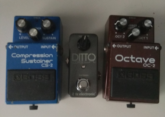 DITTO PEDAL LOOP DE TC ELECTRONIC