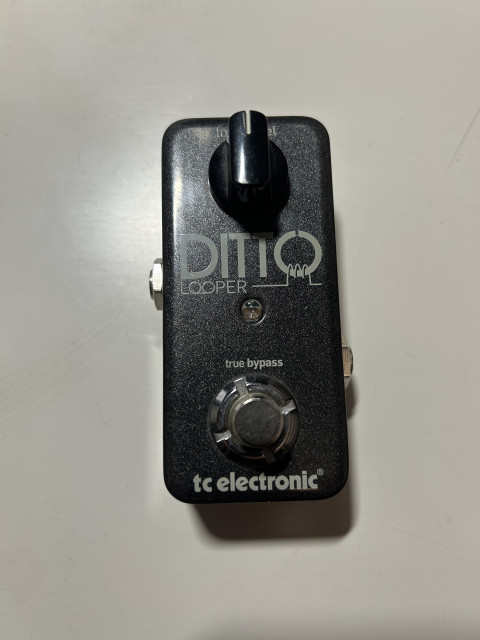 tc electronic Ditto Looper