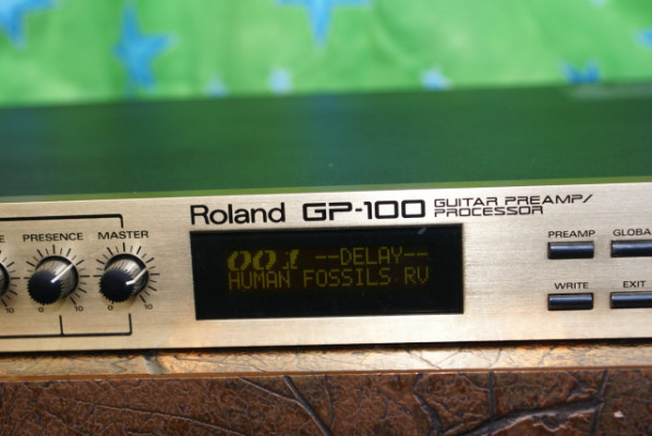 Preamplificador/Procesador de Efectos Roland GP-100