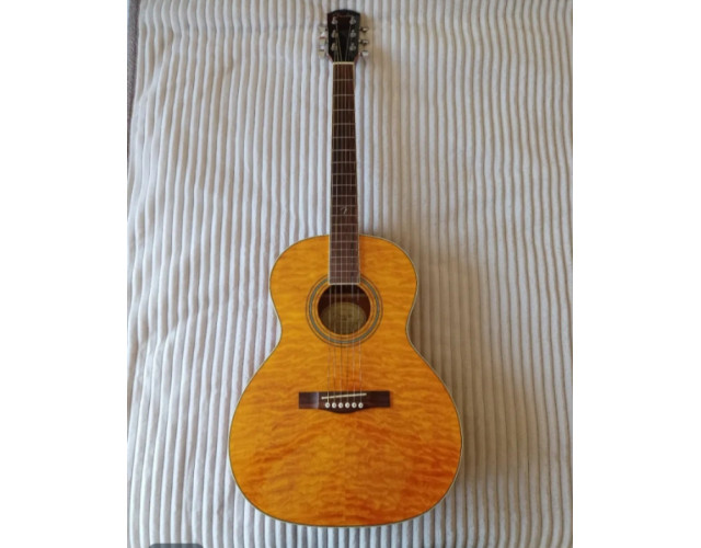 Fender GDO 300, Acústica