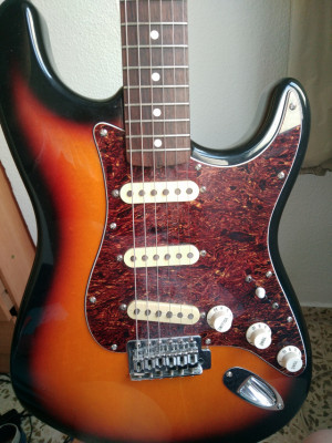 Fender Stratocaster MIM con texas special