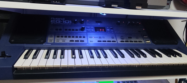 Roland EG 101