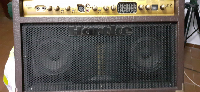 Hartke AC-75 acoustic Ribbon