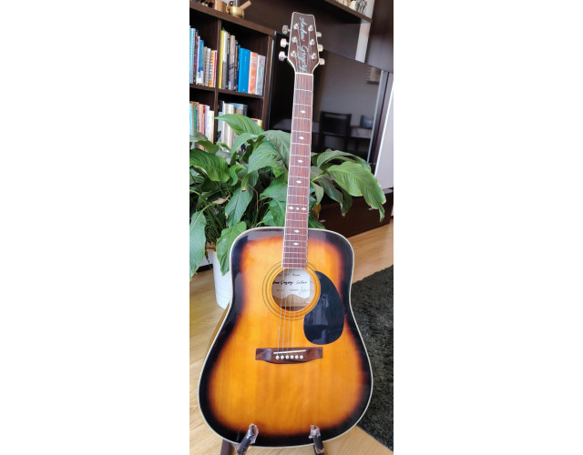 Guitarra acustica Andrew Gregory