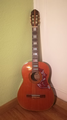 Guitarra clásica Ibanez