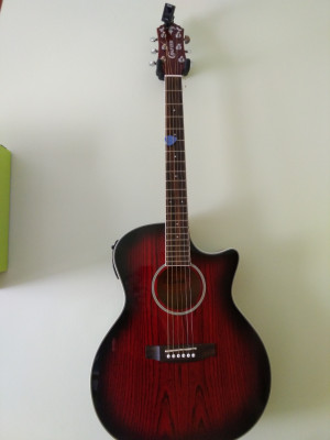 Guitarra acústica Crafter EG 110CEQ