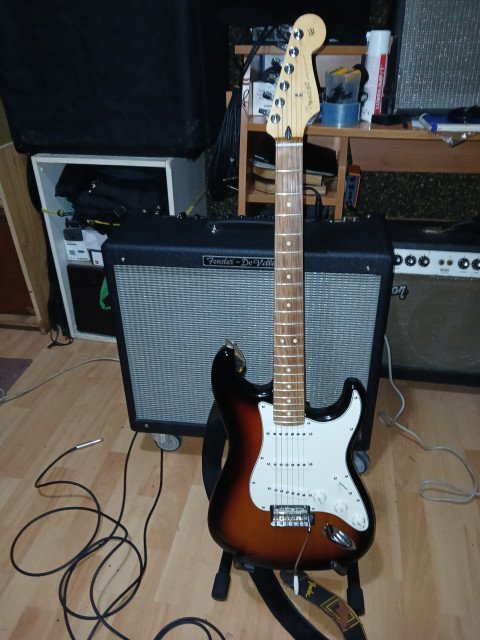 Fender player