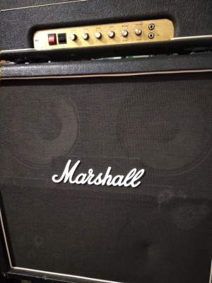 Marshall 4x12 de 1978 (G12-65) cambios?