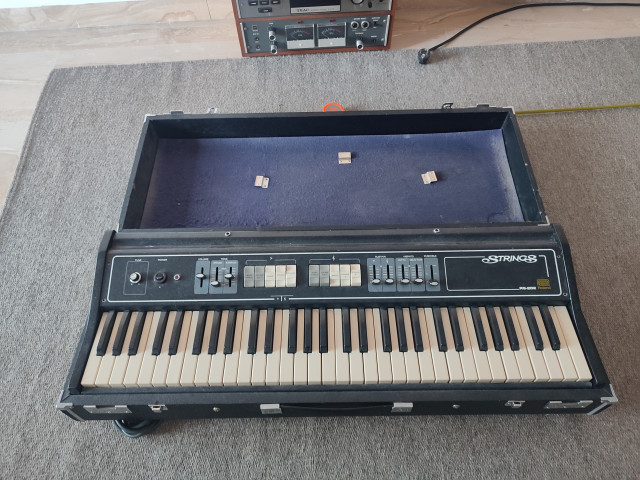 Roland rs 202