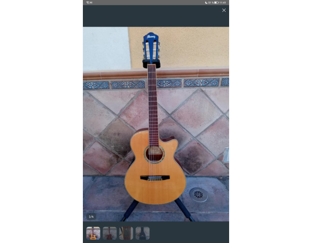 Ibanez AEG10NE electroacústica con cuerdas de nylon